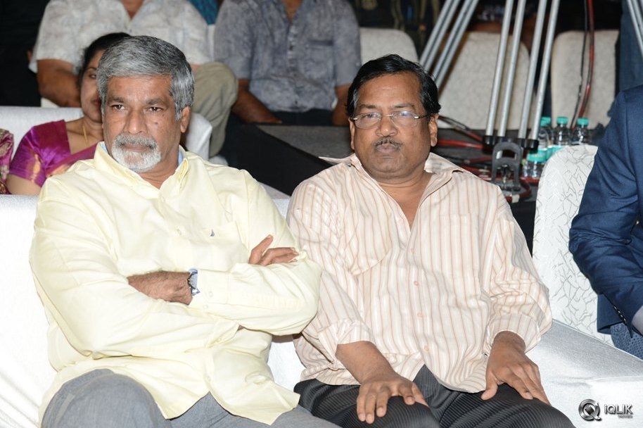 Padesave-Movie-Audio-Launch